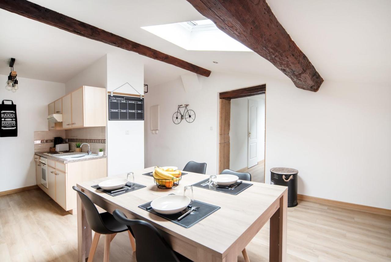 Appartement Cosy Et Moderne En Plein Coeur Du Centre Ville Mâcon Eksteriør billede
